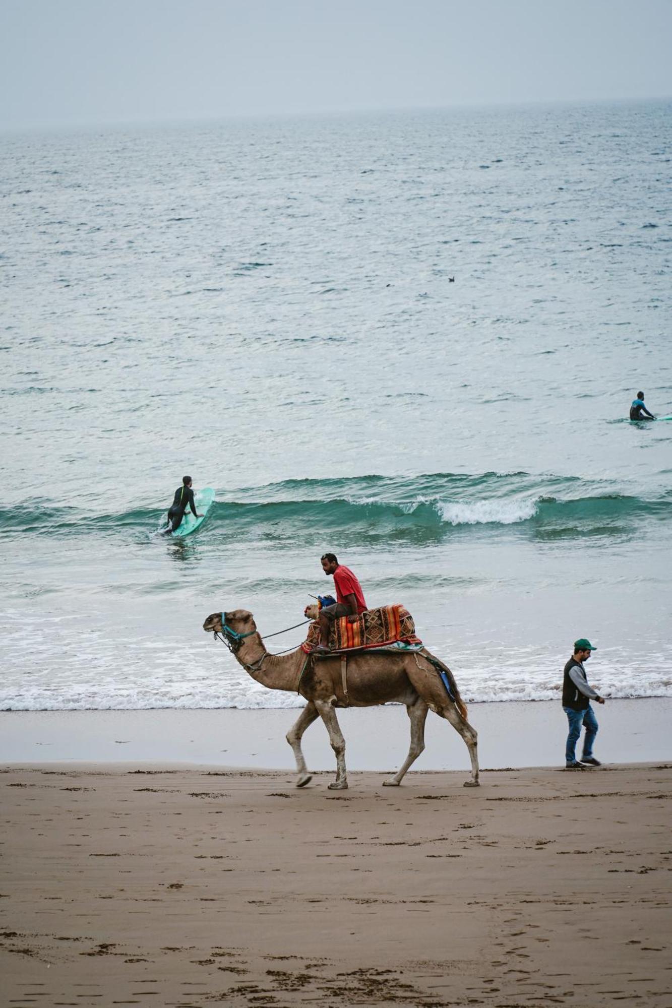 Dar Sultana Guesthouse Surf Morocco Tamraght ภายนอก รูปภาพ